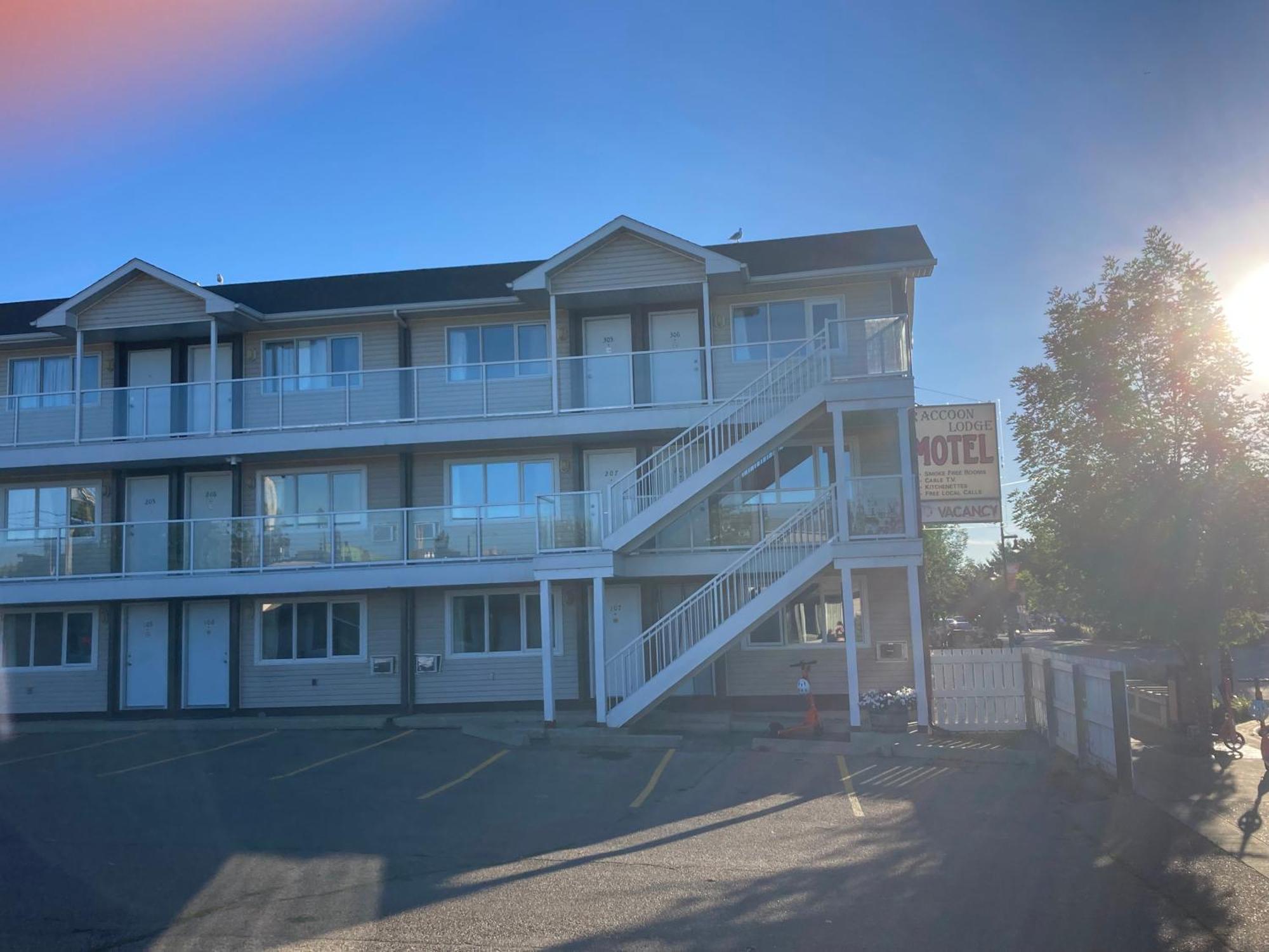 Raccoon Lodge Motel Sylvan Lake Kültér fotó