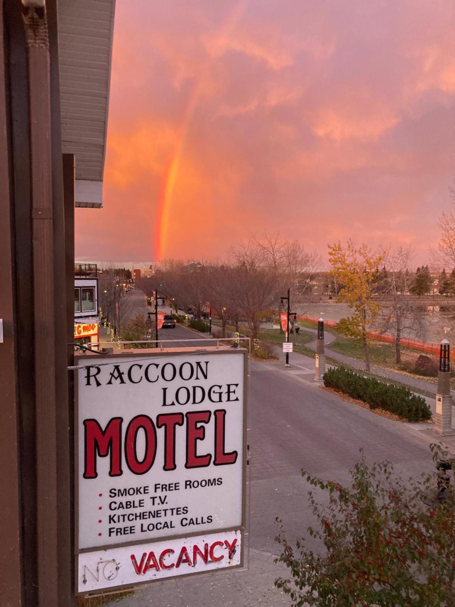 Raccoon Lodge Motel Sylvan Lake Kültér fotó